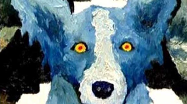 Bluedog Eyes_41971