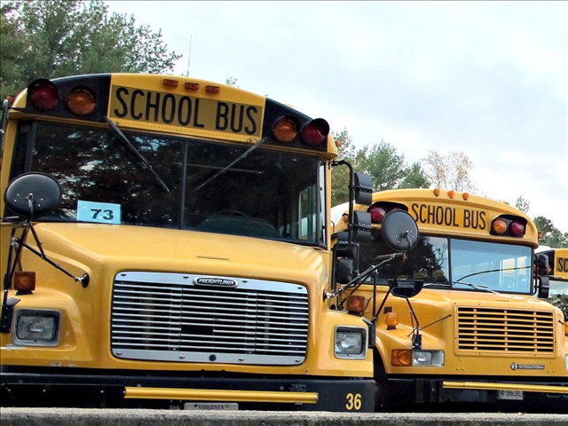 busses_54251