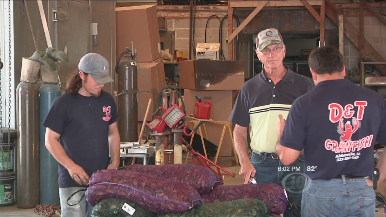 D&T Crawfish_65204