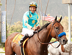 AmericanPharoahFrontRunner2014_7BEN298_81572