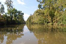 220px-Bayou_Teche_93269
