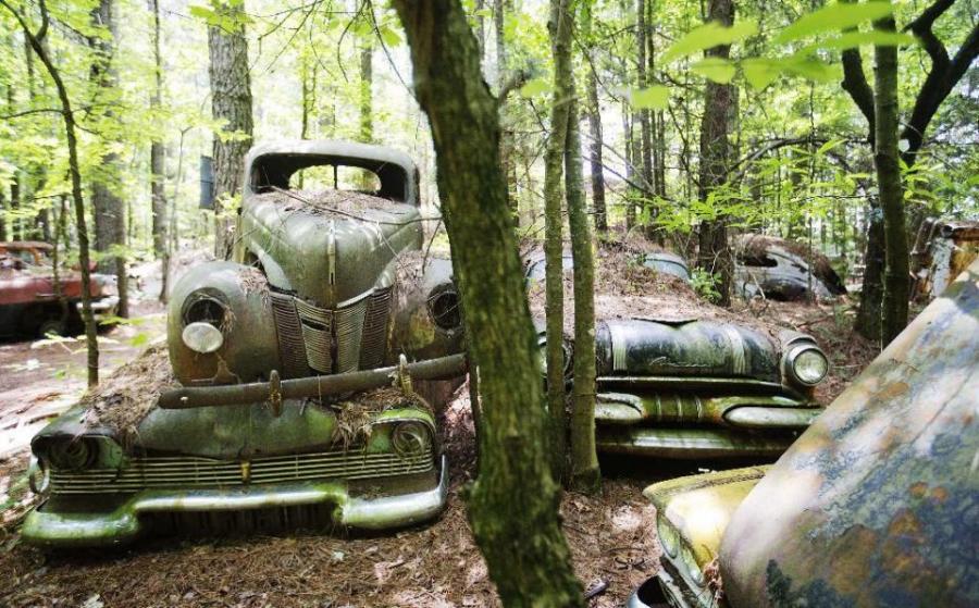 Classic Car Junkyard Photo Gallery_94950