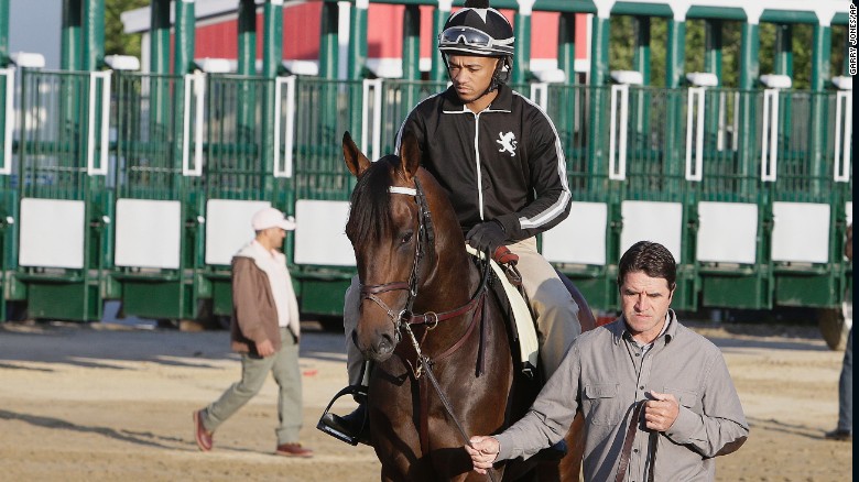 exaggerator_196198