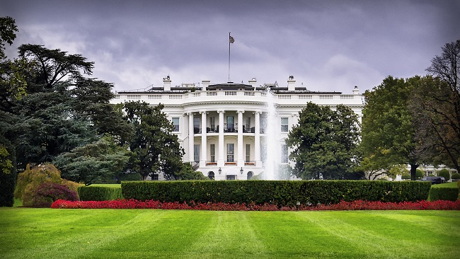 White House_243263