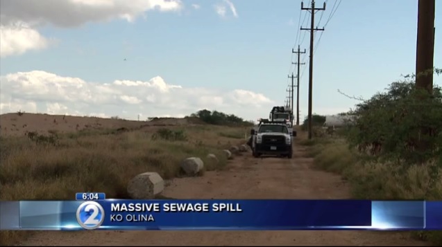 sewage-spill_252539