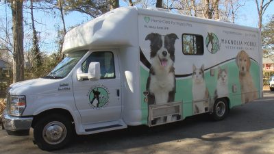 Iberia Parish veterinarian_1516838082266.jpg.jpg