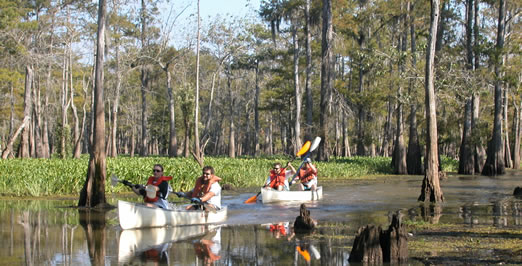Atchafalaya Basin_1519661591315.jpg.jpg