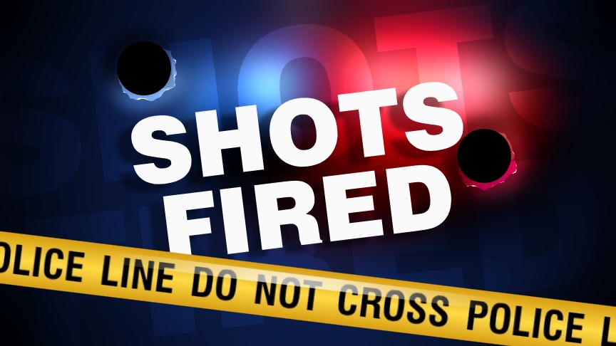 shots_fired_81963