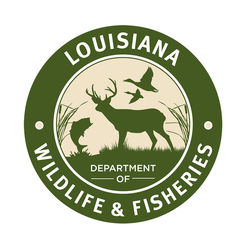 Louisiana Wildlife and Fisheries_1528321223548.jpg.jpg