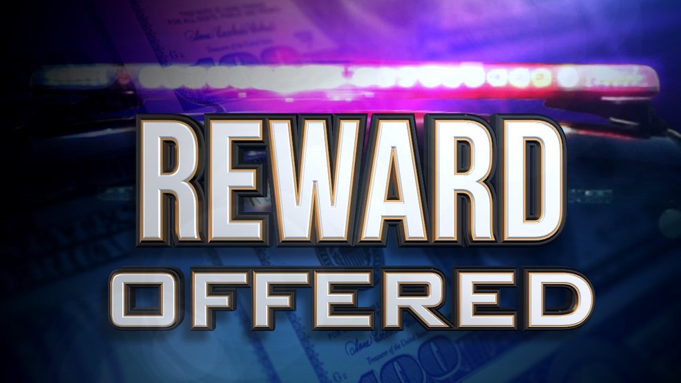 Reward_1520456645945.jpg