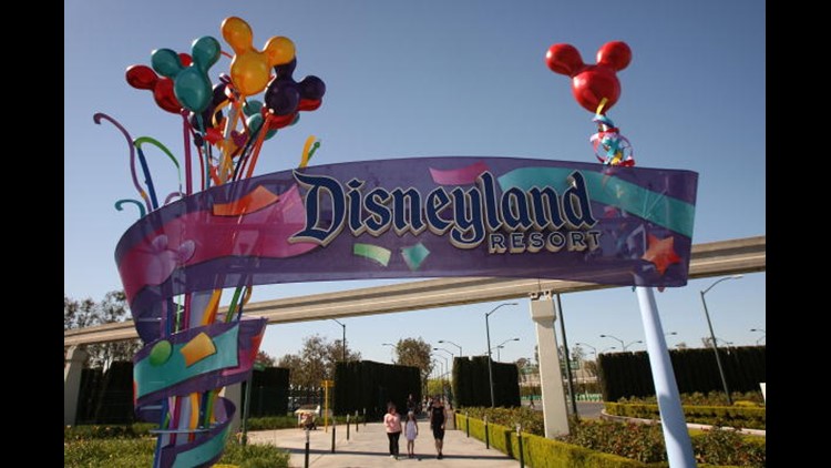 Disney Land_1532826382460.jpg.jpg