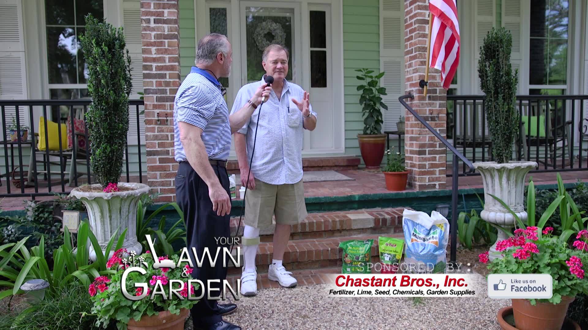 Lawn