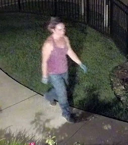 Scott suspect_1532446145288.jpg.jpg