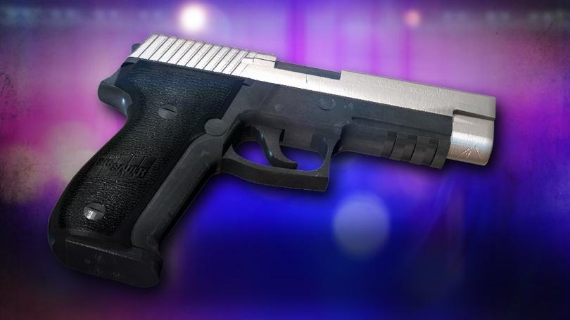gun-generic_720_1531084732910.jpg