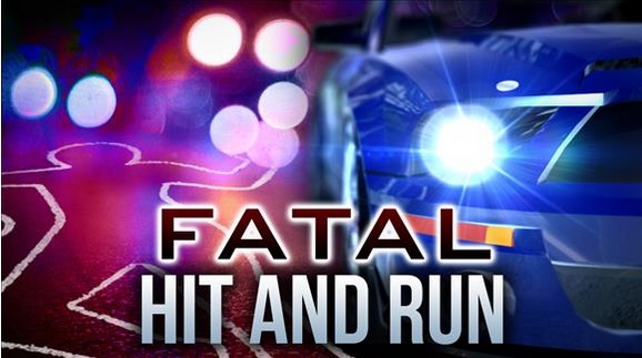 lake charles fatal hit and run_101353