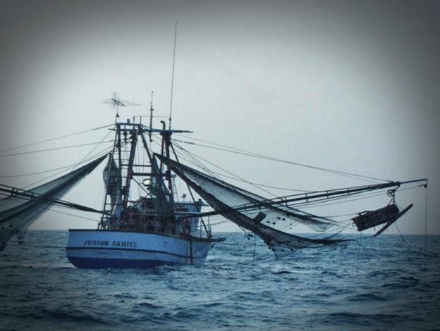 shrimp boat_79126