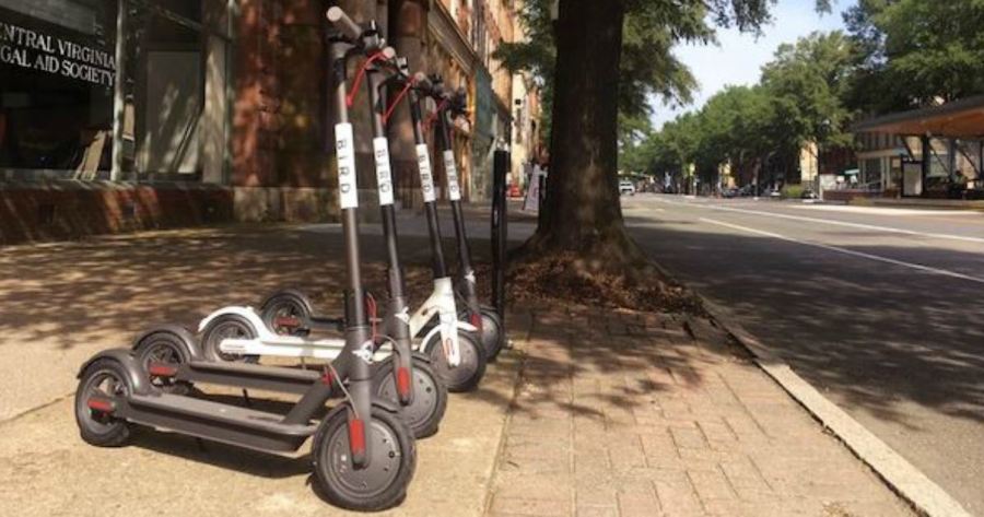 bird-scooter_1543609581313.jpg