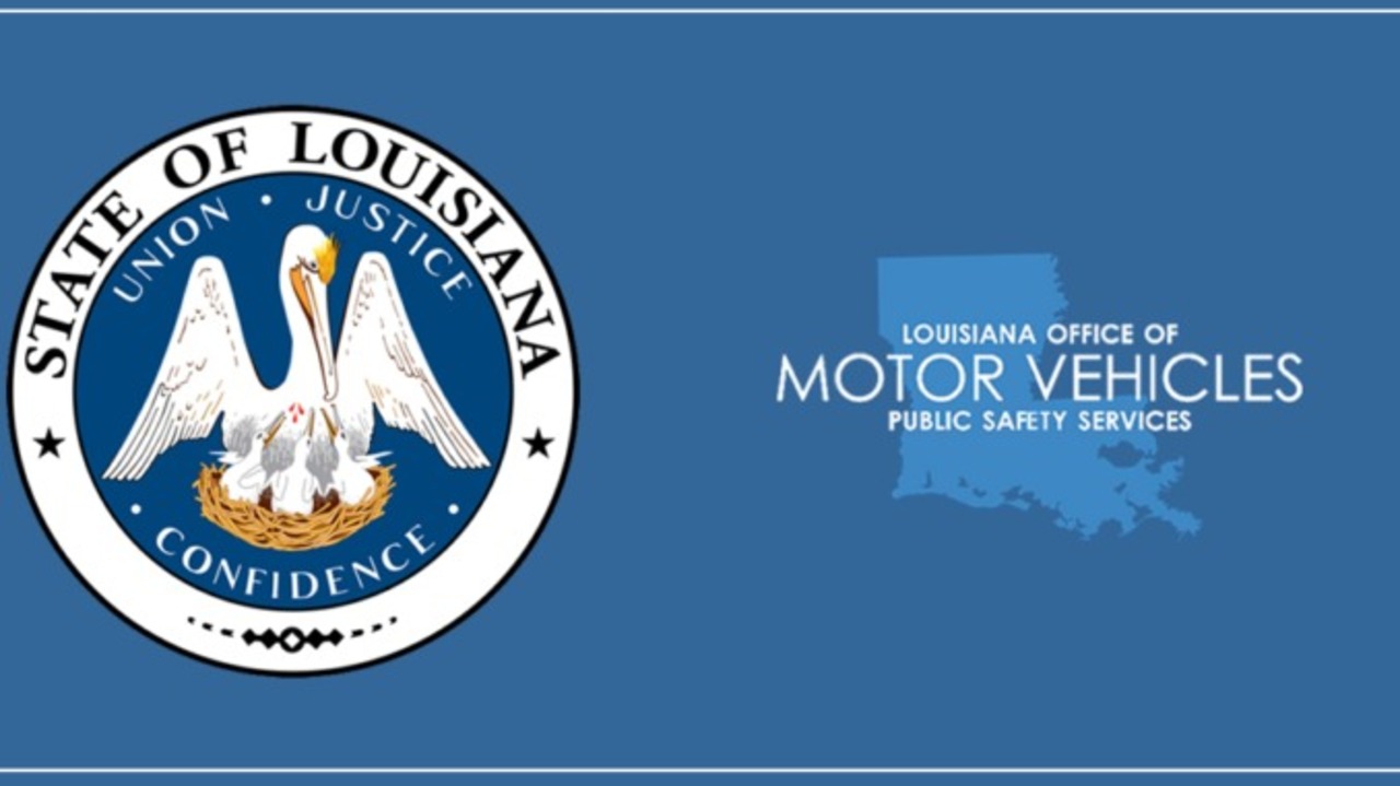 OMV_1544652081981.jpg