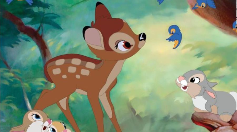 bambi_1545646333767.JPG