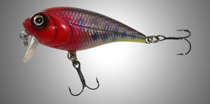 lure_1547985224939.JPG