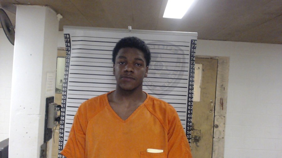 shelton celestine_1547260273780.jpg.jpg