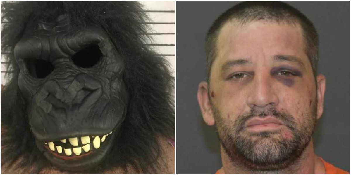 Gorilla arrest_1550787402774.jpg.jpg