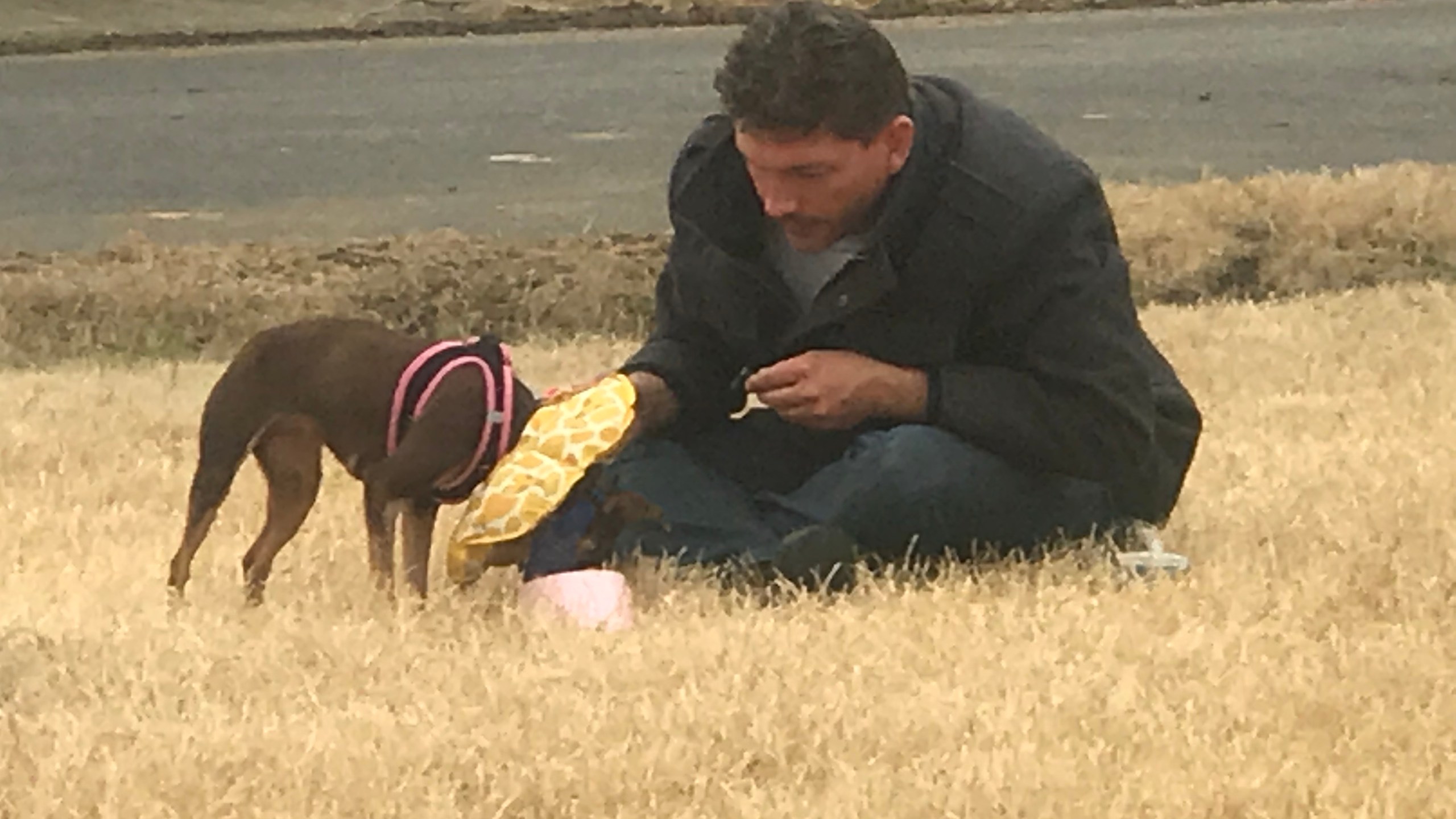 dog shot_1549405652058.jpeg-118809306.jpg