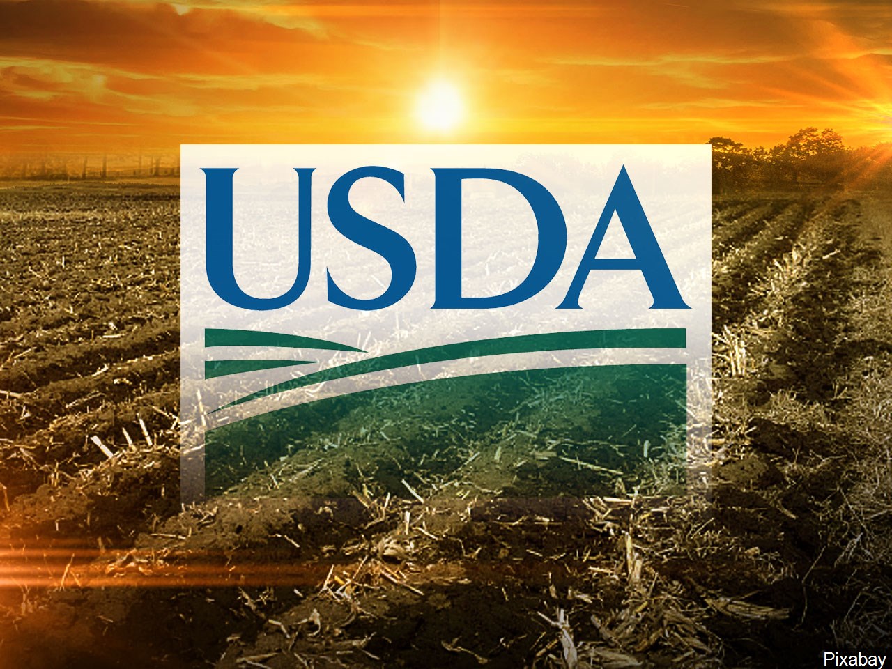 USDA