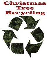 Christmas tree recycle_1553778271075.PNG.jpg