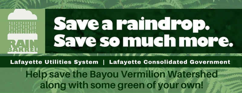 LCG rain barrel_1553615273355.png.jpg