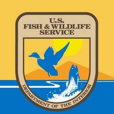 fish_1554403748790.jpg