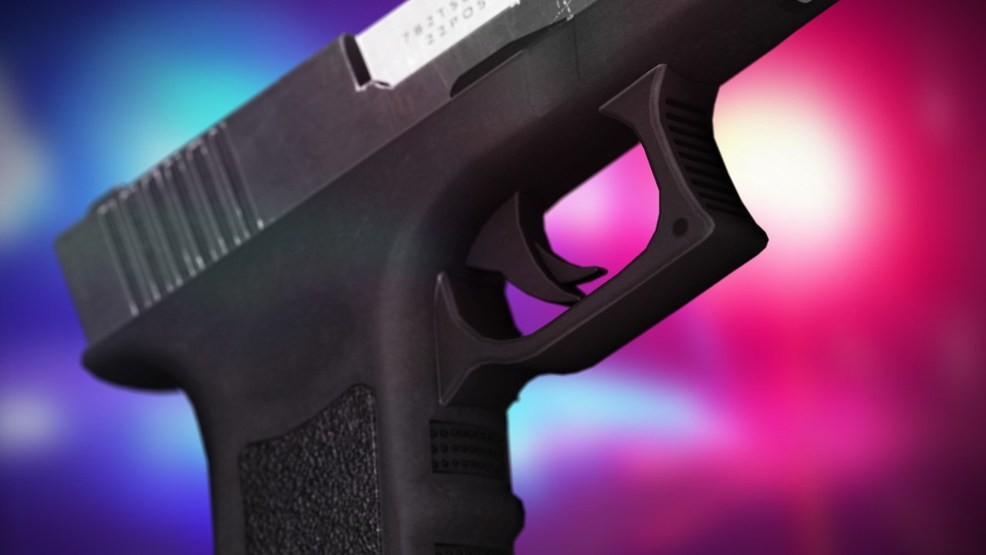gun_1554773618833.jpg