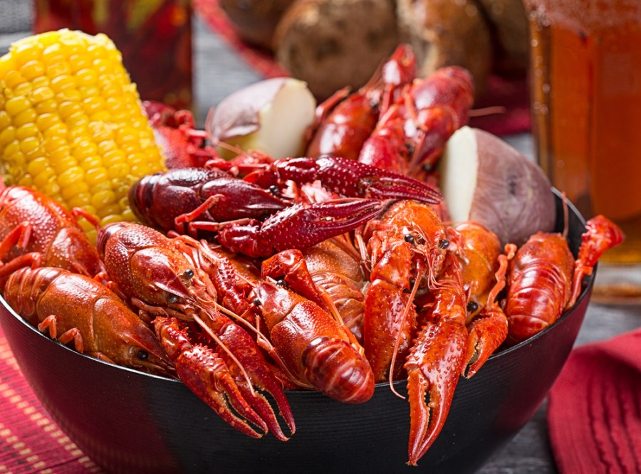 Crawfish_1557953286821.jpg