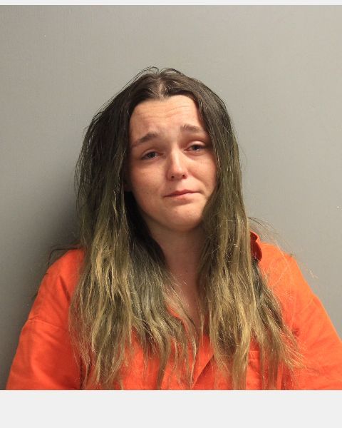 ALEXIS RENEA BLAKELY_MUGSHOT_1559758432811.JPG.jpg