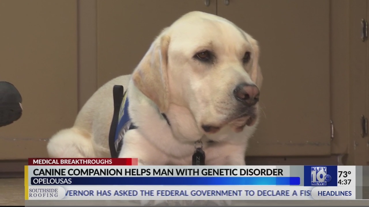 Assistance dog for man with genetic disorder