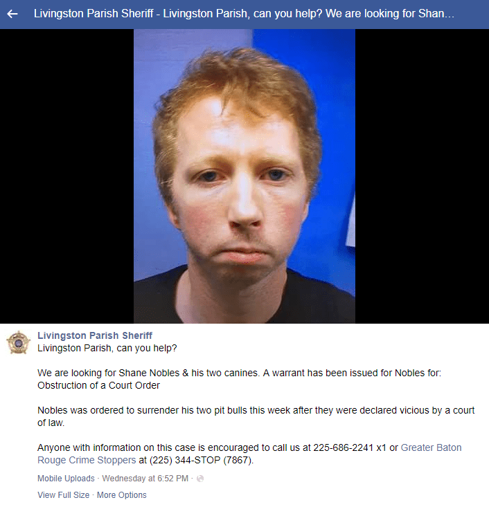 Capture_1560632149966-3156058.PNG