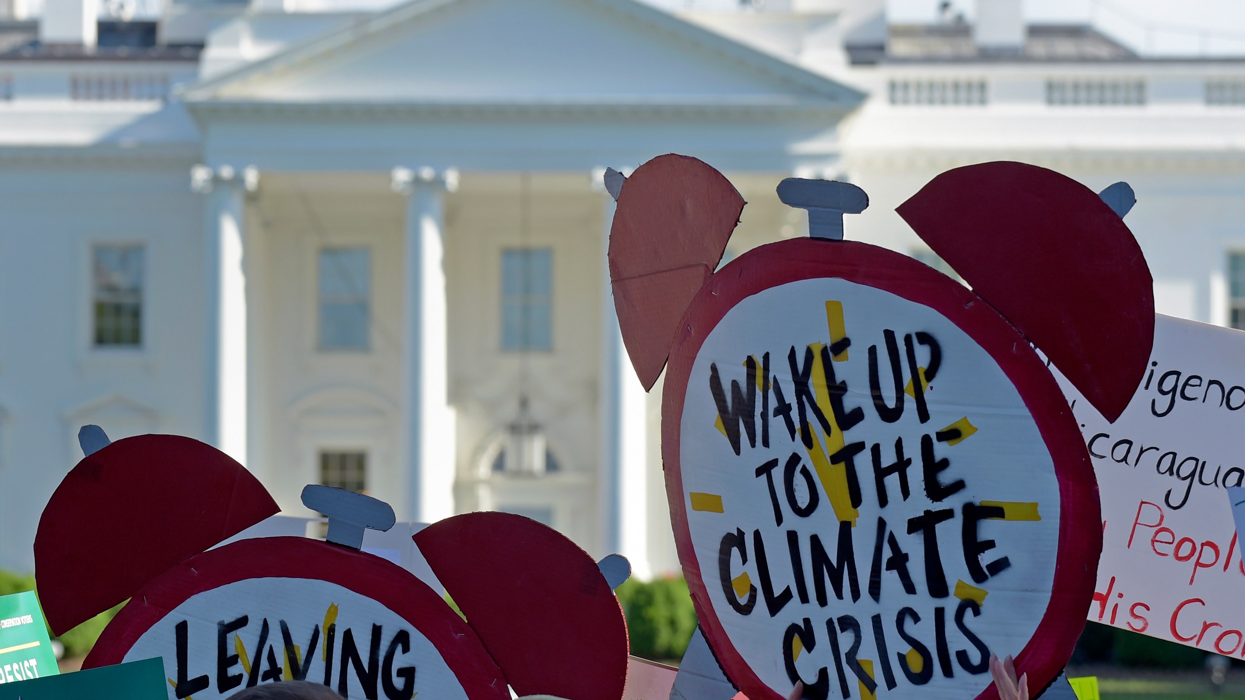Climate Protesters