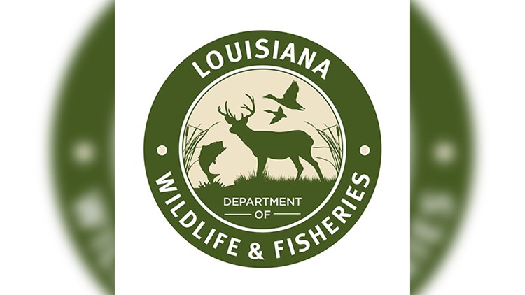 Department of Wildlife and Fisheries