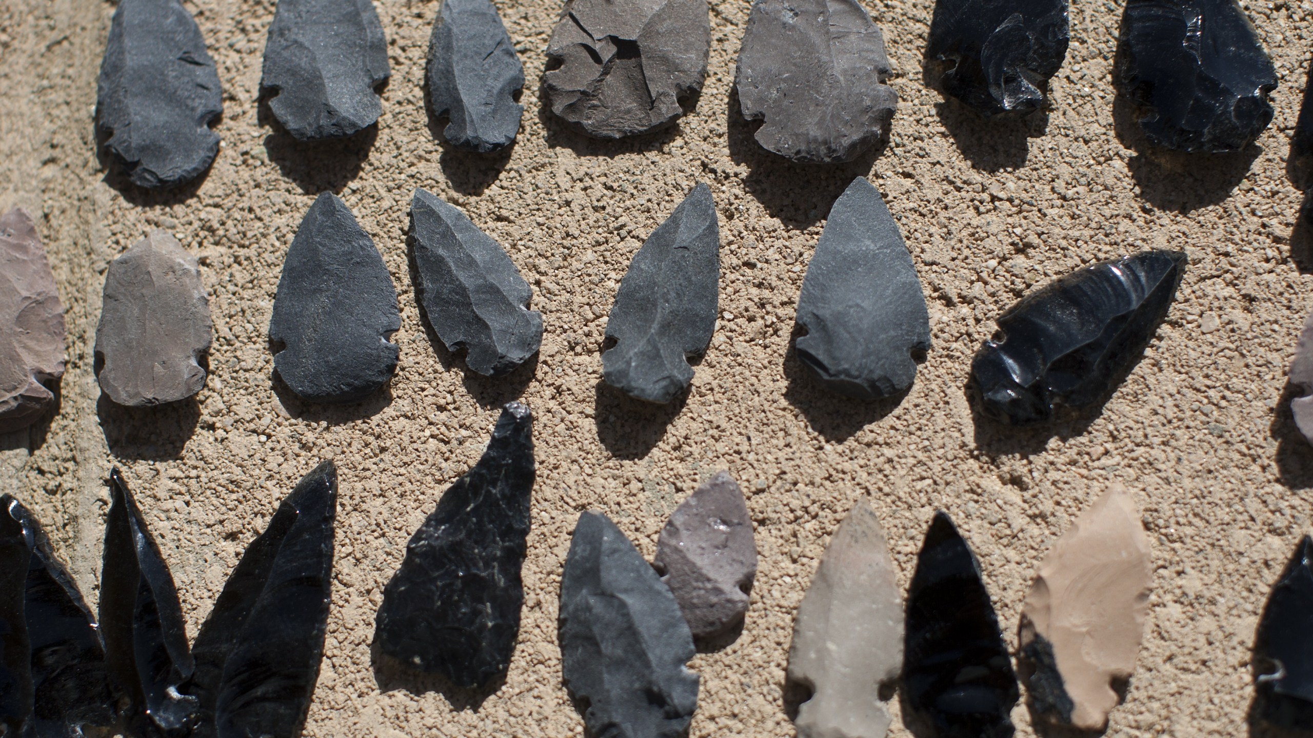 Indian arrowheads are displayed at the Malki Museum during the annual traditional agave roast on the Morongo Indian Reservation near Banning, California, April 11, 2015 AFP PHOTO / DAVID MCNEW (Photo credit should read DAVID MCNEW/AFP via Getty Images)